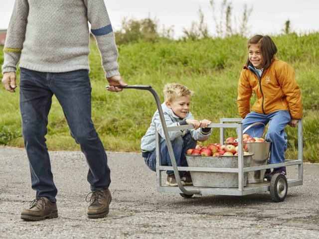 Bestefar og barn leverer epler